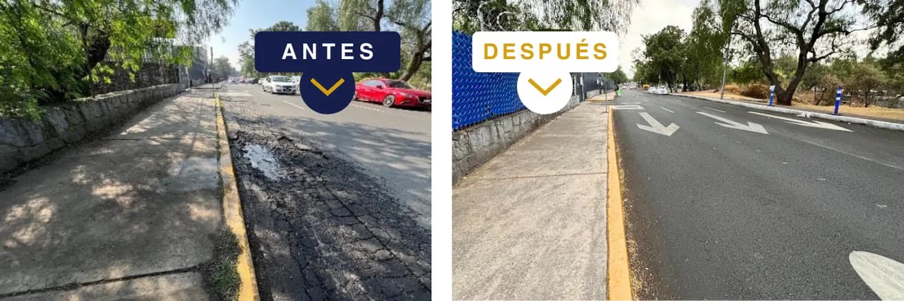 REENCARPETAMIENTO